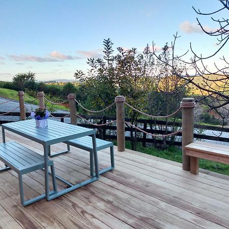 Secluded, Private Rural Retreat Mins From Warkworth -"Avondale" Minihouse Villa ภายนอก รูปภาพ